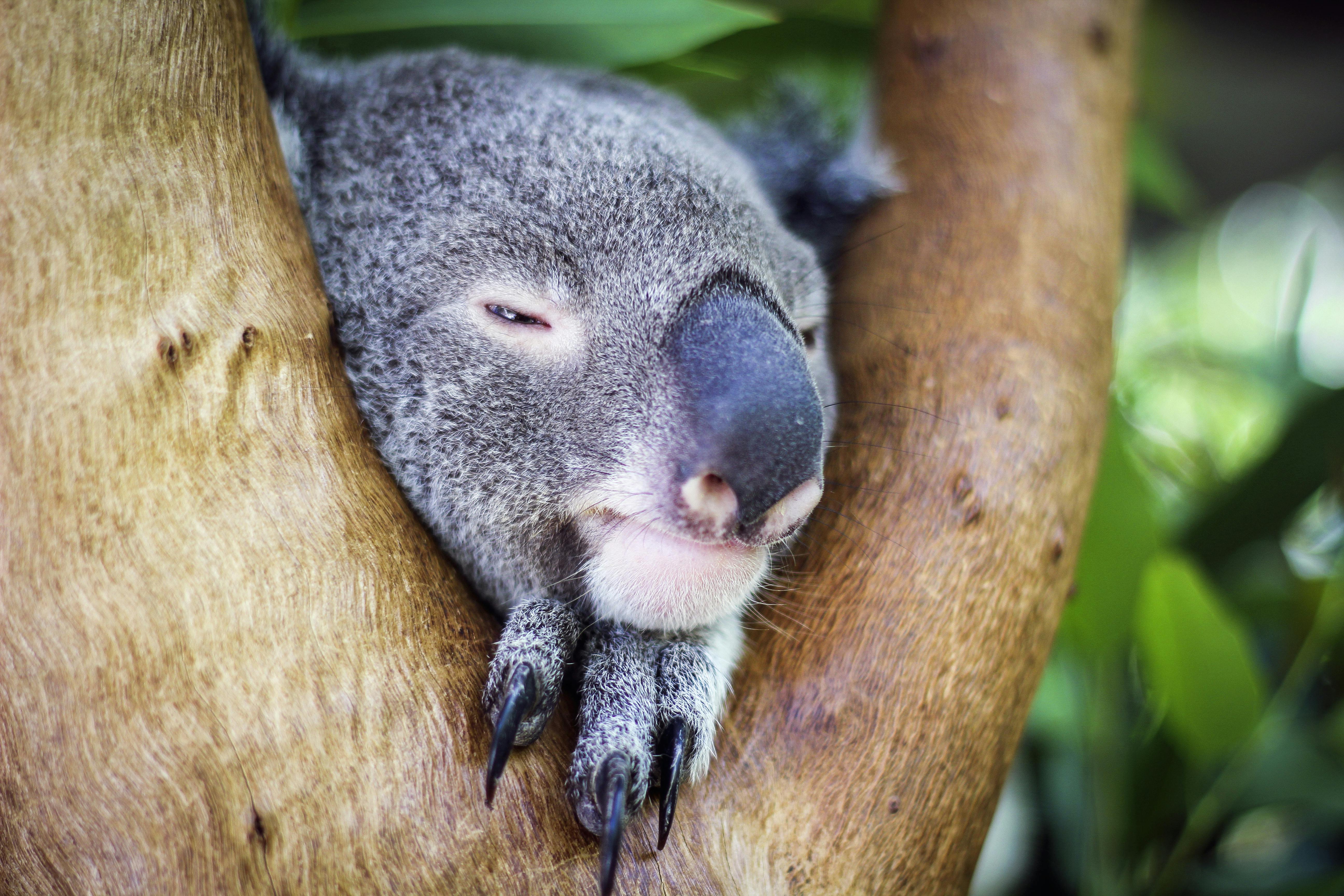 56f3718b566dd9.97319538